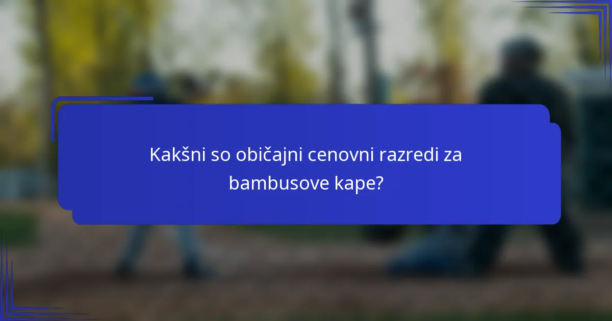 Kakšni so običajni cenovni razredi za bambusove kape?